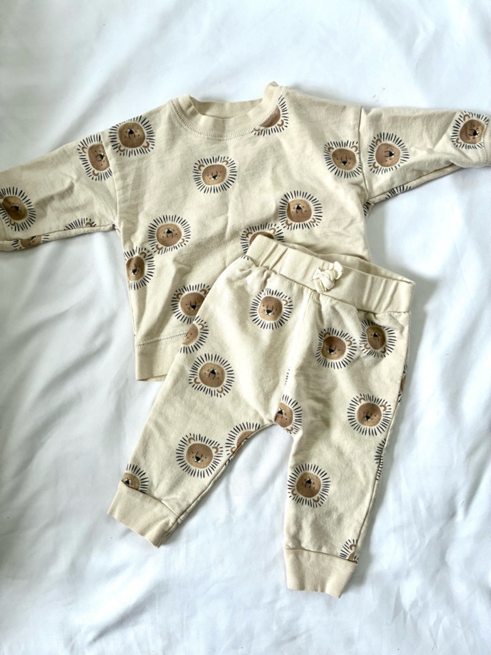 Lion Matching Set